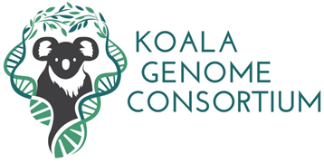 Koala Genome Consortium